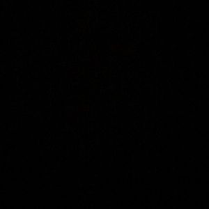 Meet your Posher, Cassidy